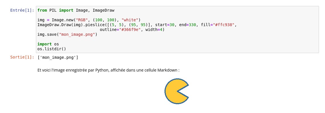Image du système de fichiers affichée en Markdown